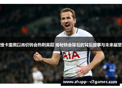 维卡里奥以高价转会热刺英超 揭秘转会背后的背后故事与未来展望